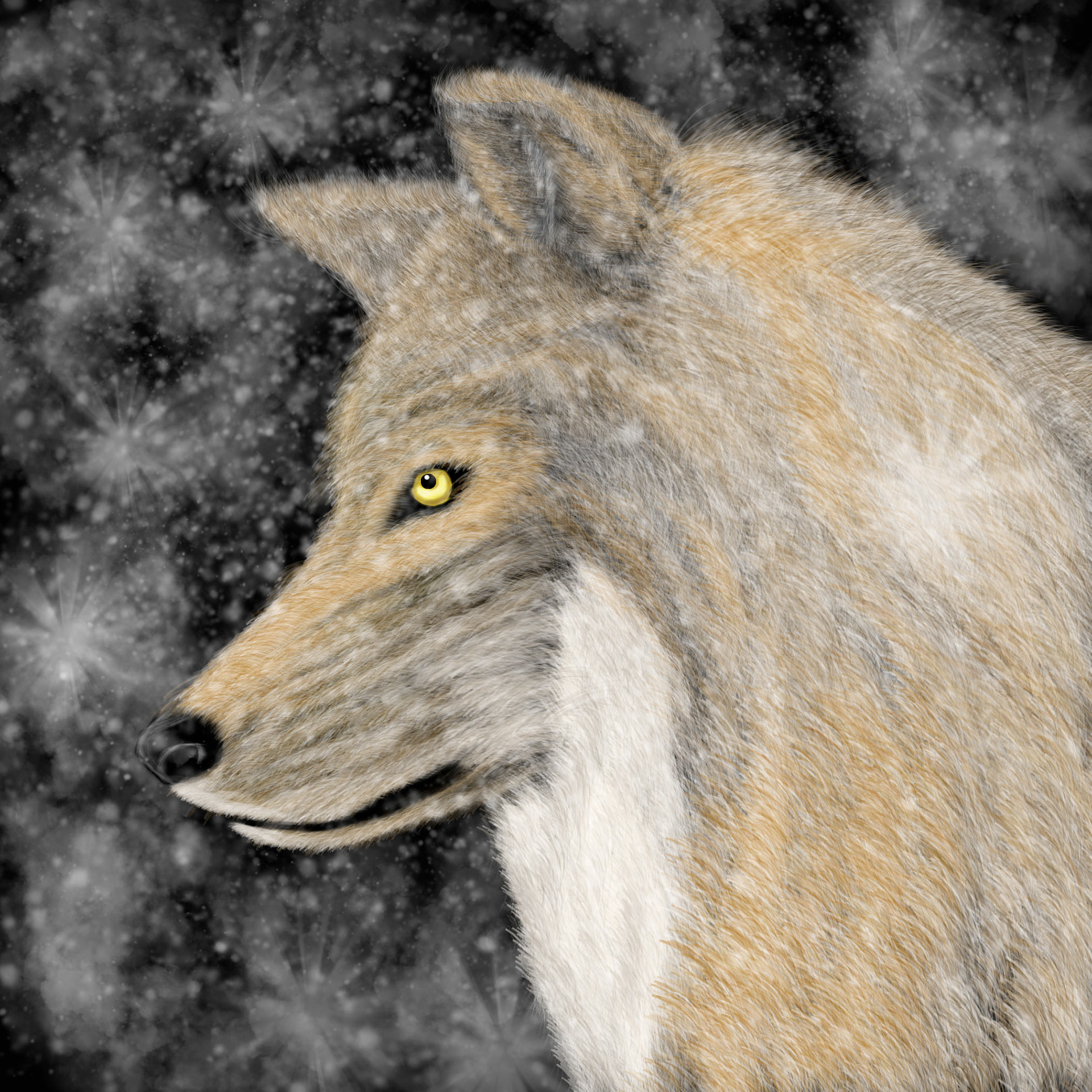 Digital painting of a wolf, conceptual art